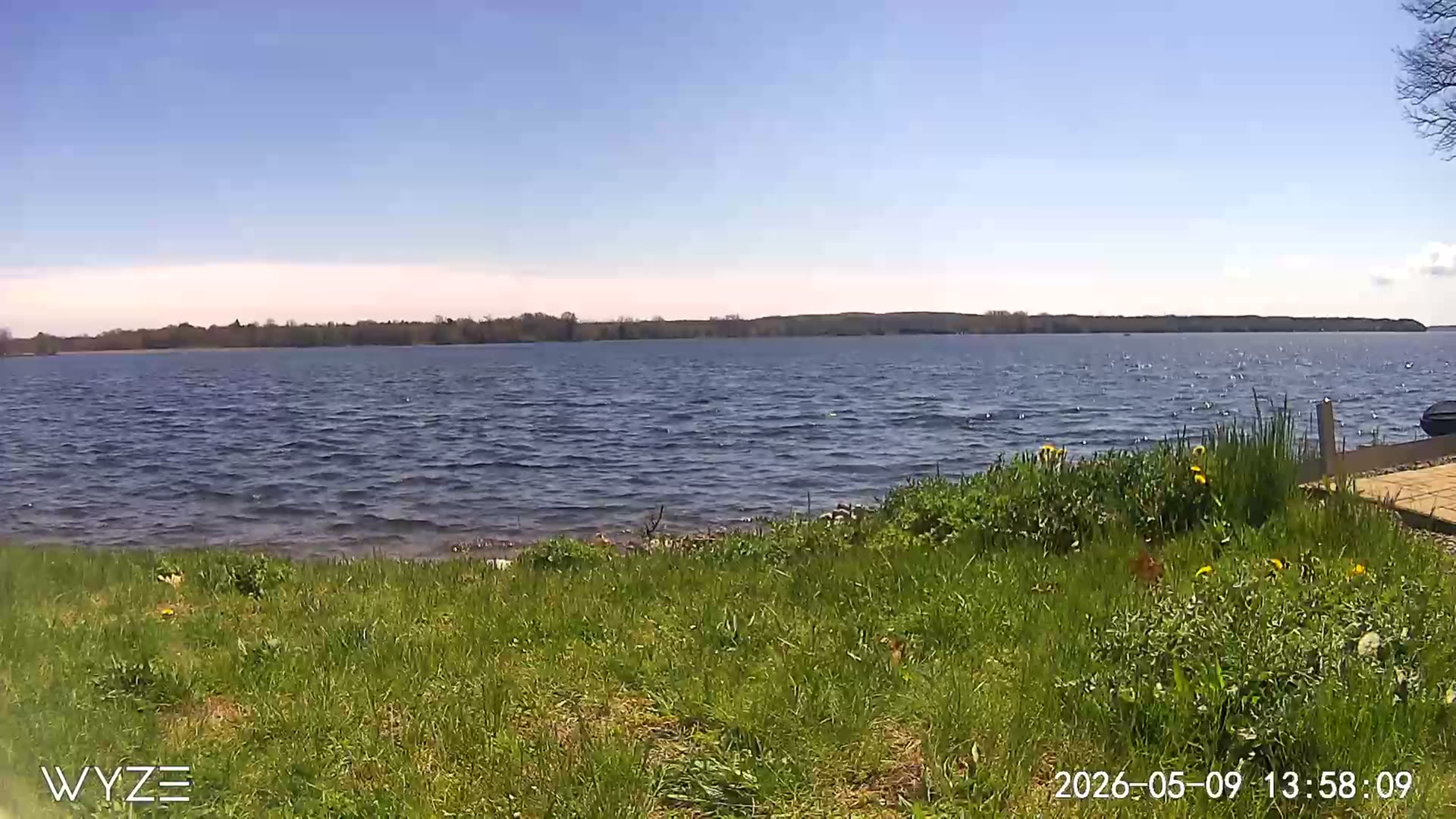 South webcam view